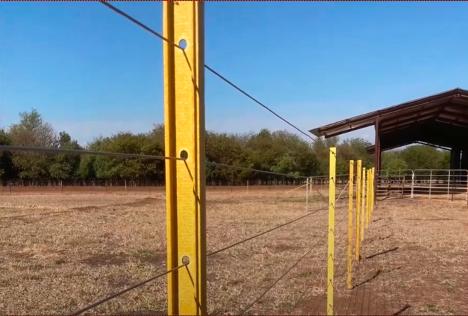 Yellow composite fence posts deployed on US farm